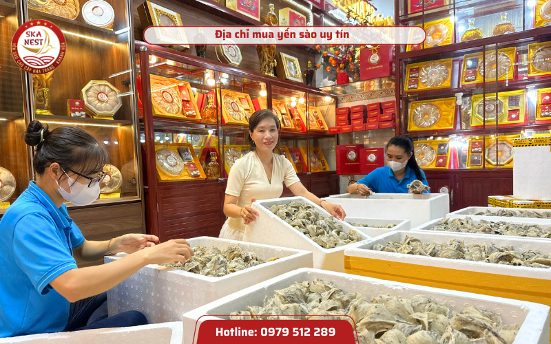 anh-web-800x500-40-1 Chưng tổ yến
