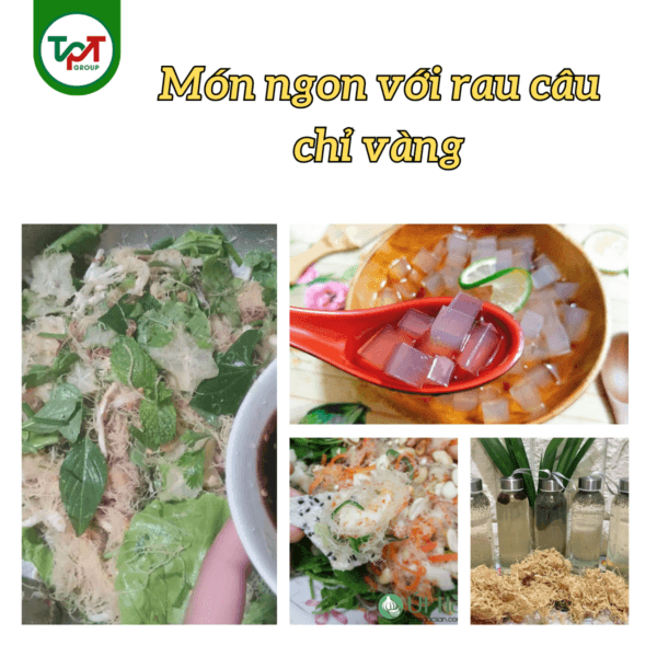 rau cau chi vang nau mon gi